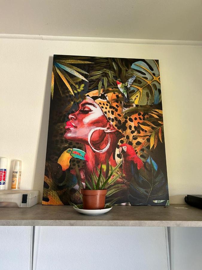 Le Duplex De Sainte Therese カイエンヌ エクステリア 写真
